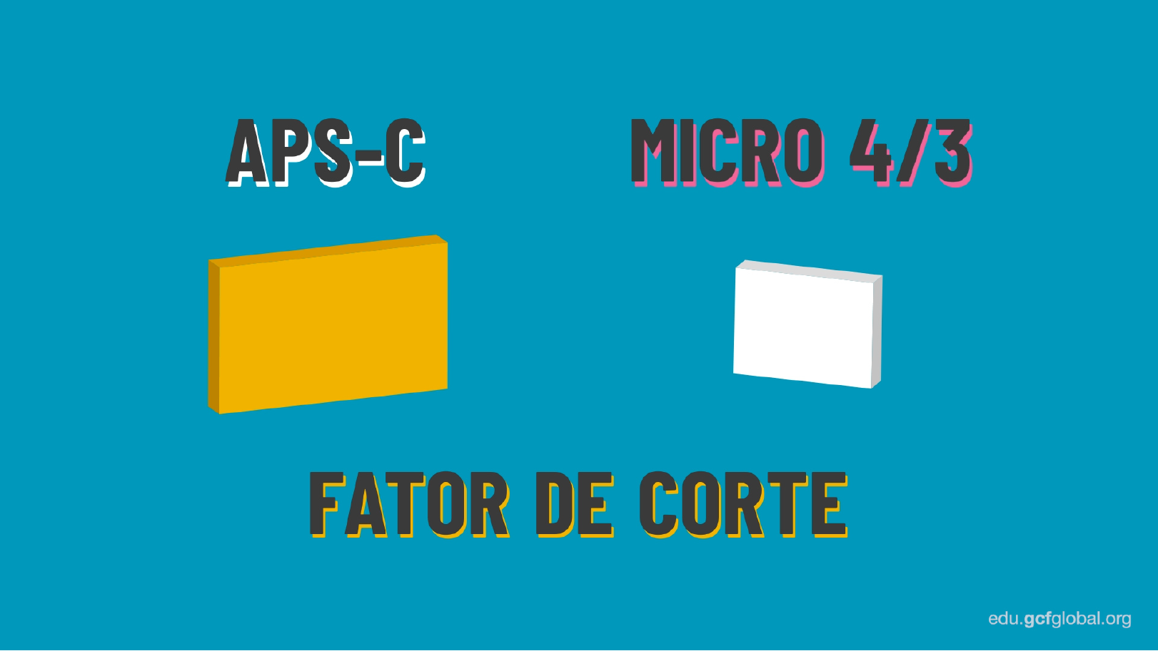 O que é o sensor de uma câmera fotográfica: sensores APS-C e Micro 4/3